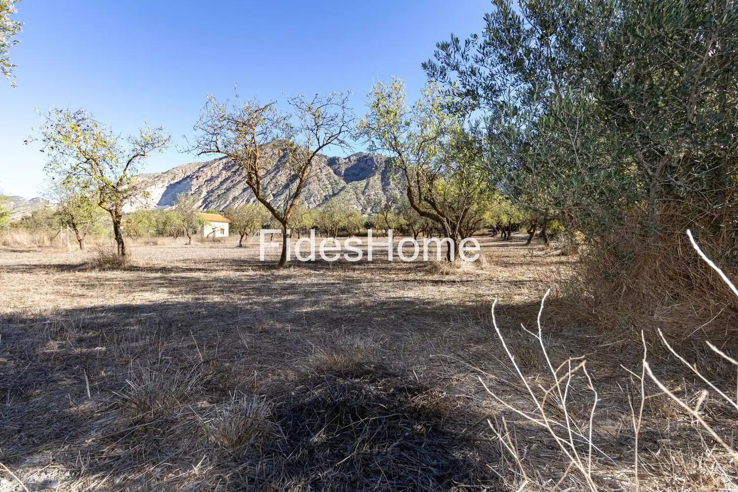 Rural land for sale in XCFX+CX5 Acequias 0