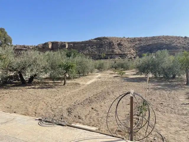 Land for sale in Pechina
