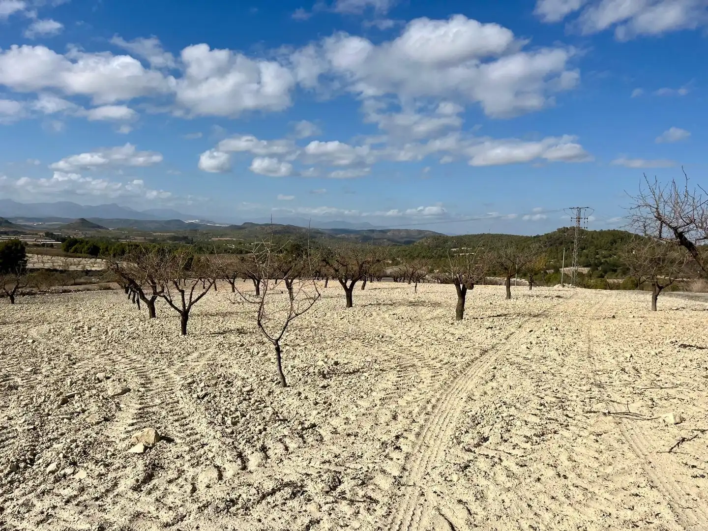 Lands and plots for sale in Bullas