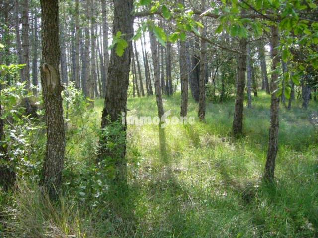 Terreno en Venta en Santa Maria d'Oló