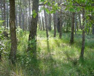 Land for sale in Santa Maria d'Oló