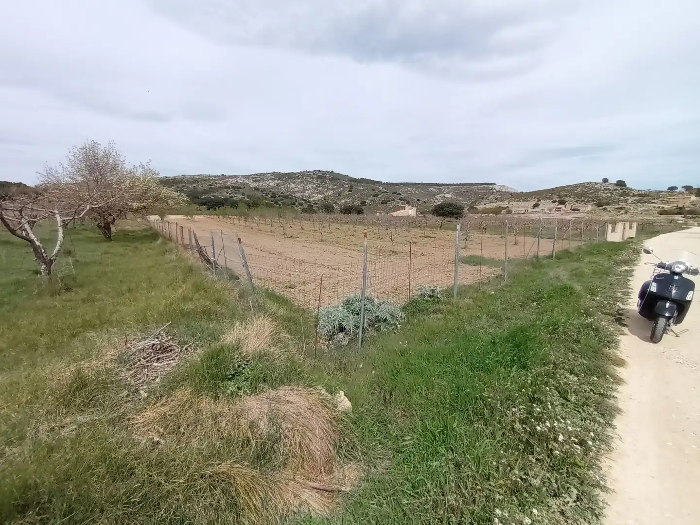 Terreno rústico en venta en Castell de Castells, imagen 6
