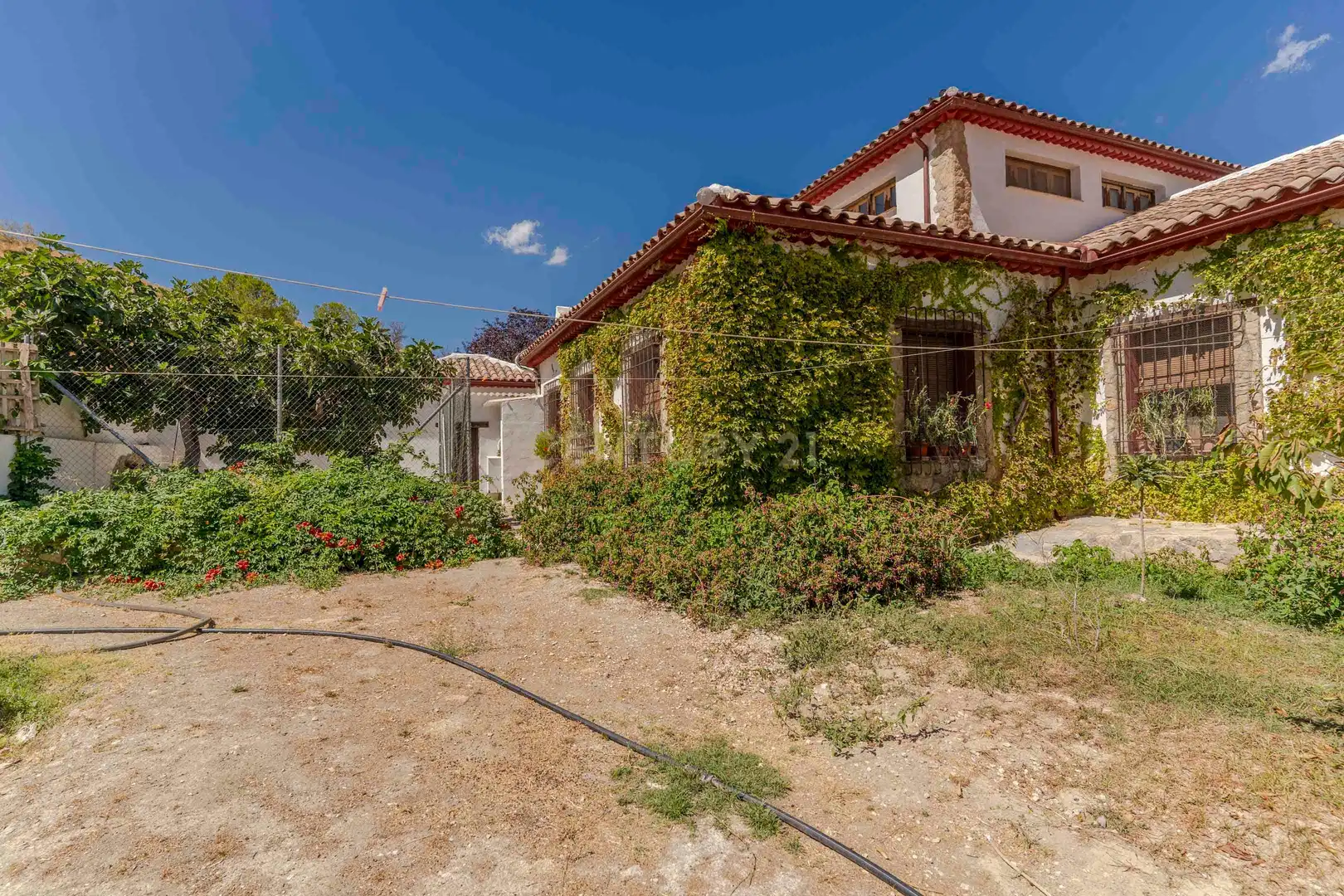 Vista exterior de Casa o chalet en venta en Huelma con Jardín privado y Sauna