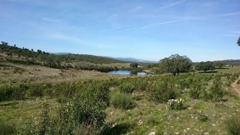 Land for sale in Salorino