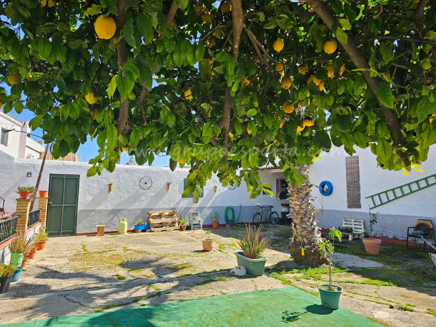 Jardín de Casa adosada en venta en Umbrete