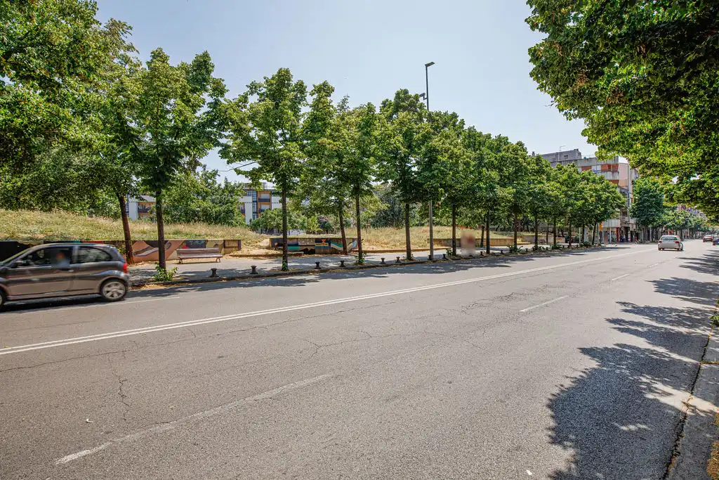 Terreno rústico en venta en MONTNEGRE, imagen 13