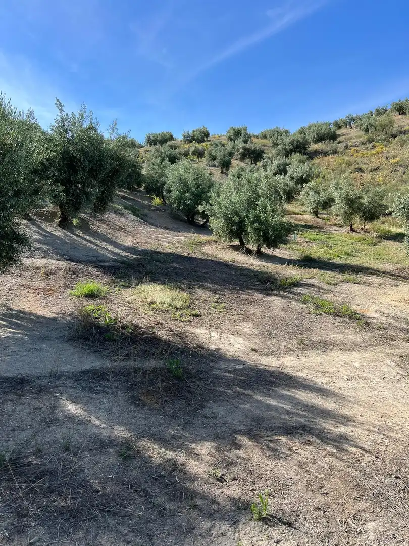Terrenys i solars en venda a Fuente-Tójar, imagen 4