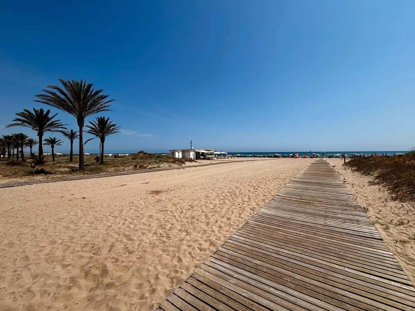 Vista exterior de Apartament en venda en Gandia amb Jardí privat, Terrassa i Balcó