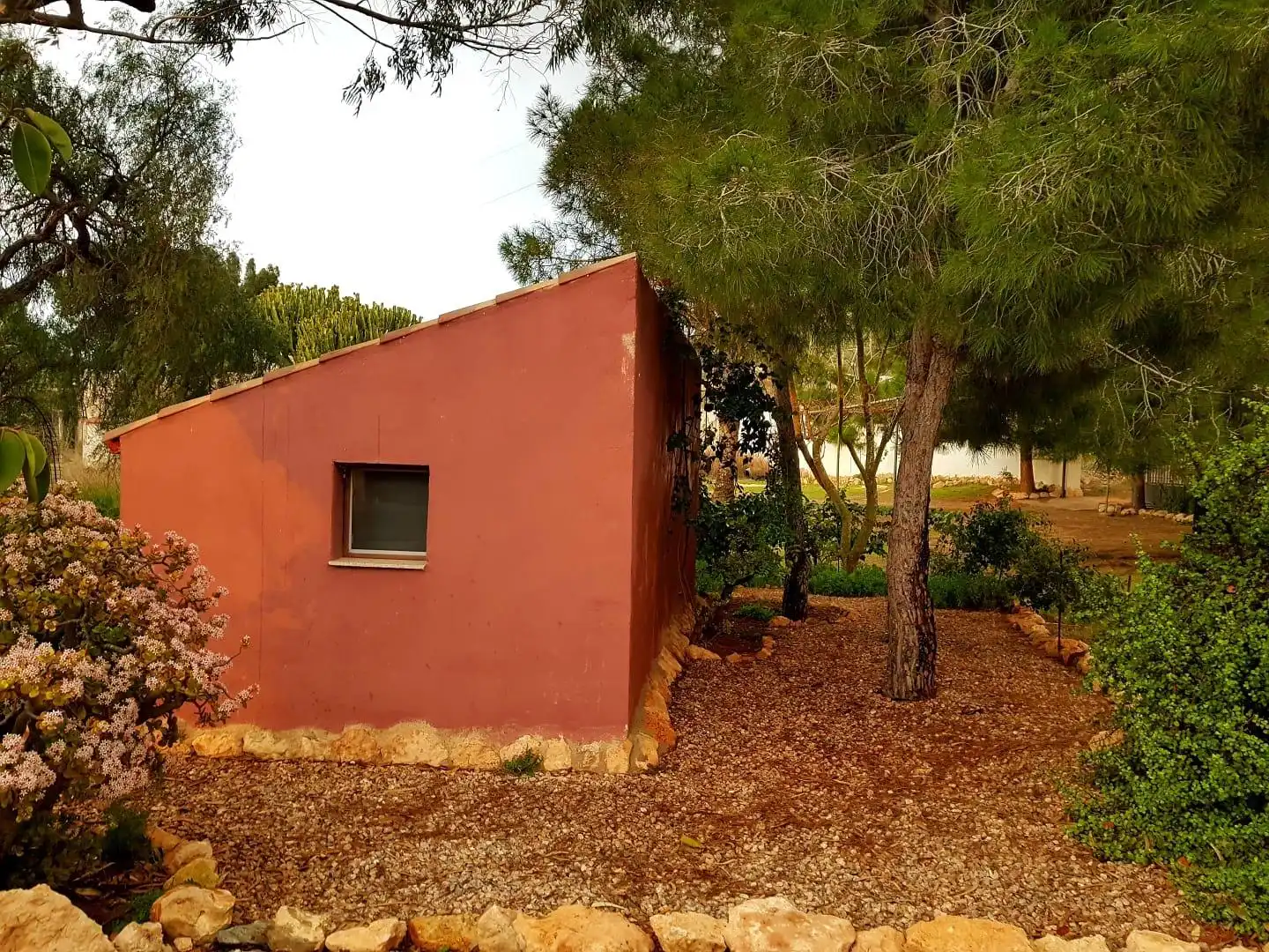 Casa rústica en venta en La Pinilla - Las Palas, imagen 21