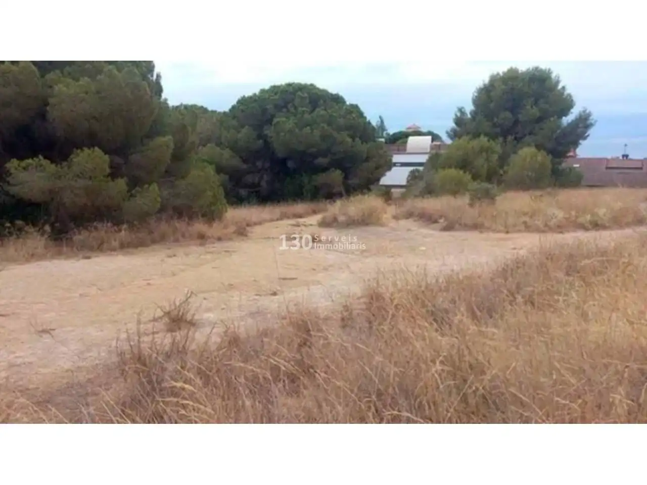 Terreno rustico in vendita a Camino Arenys de Munt a Canet, imagen 3