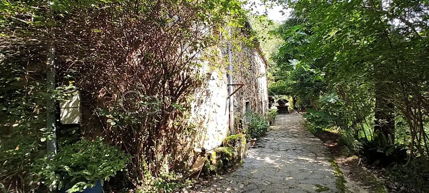 Vista exterior de Finca rústica en venta en Arbúcies con Jardín privado, Terraza y Amueblado