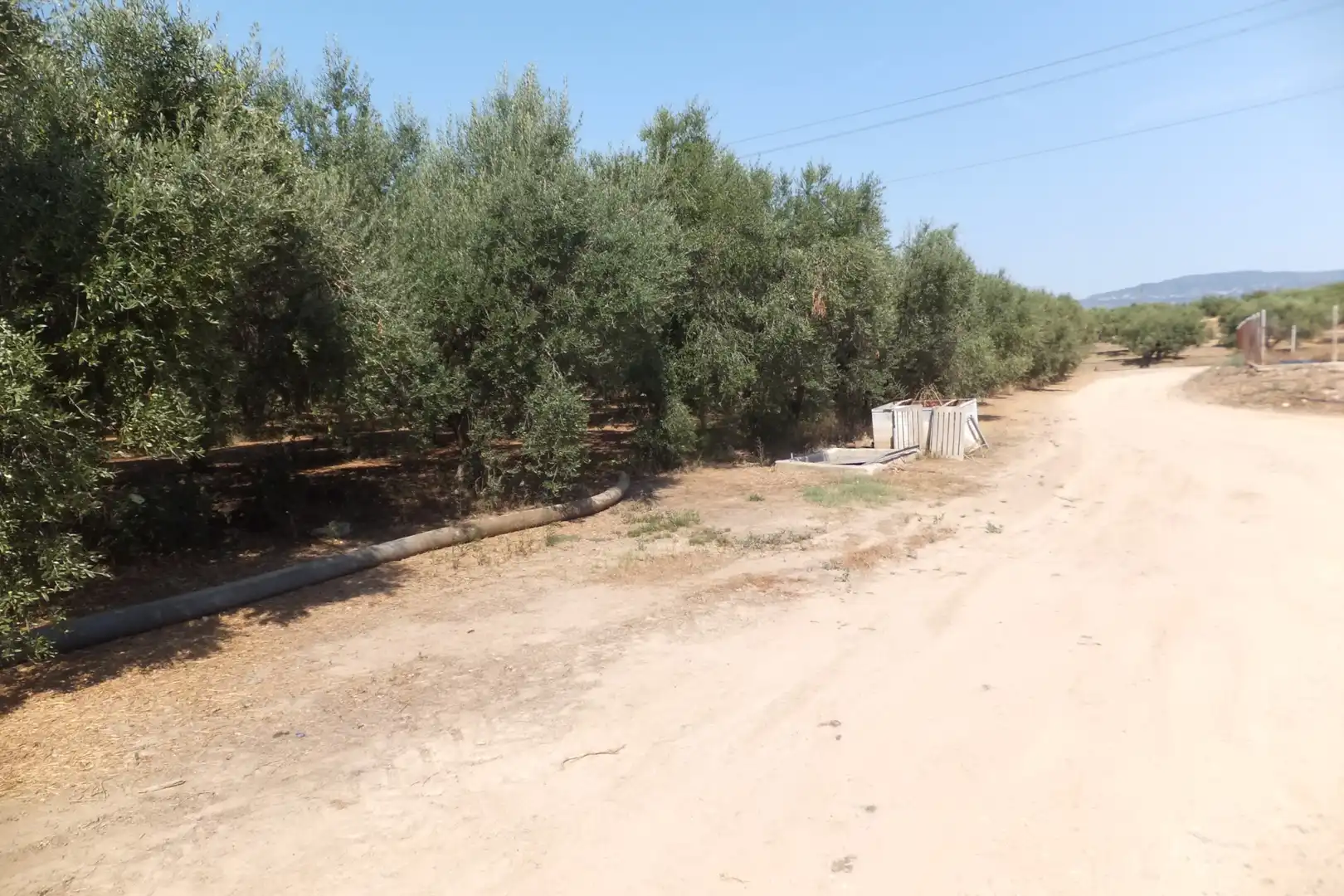 Terreno rústico en venta en Vial Camino 20, imagen 50