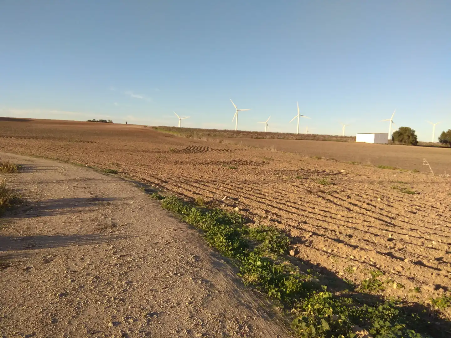 Rural land for sale in Ctra Sanlúcar - Cuatro Pinos, imagen 6