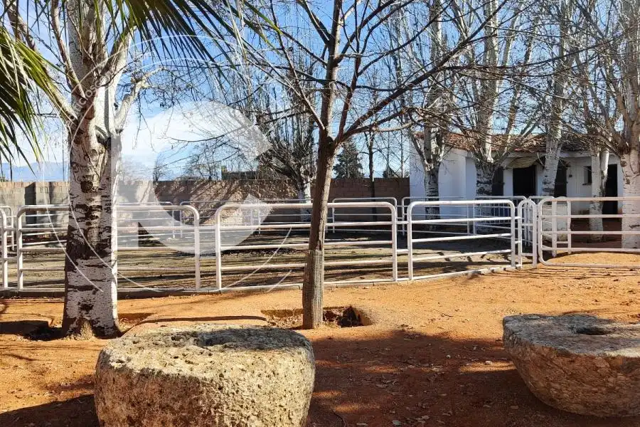 Xalet amb piscina en venda a del Genil, imagen 18