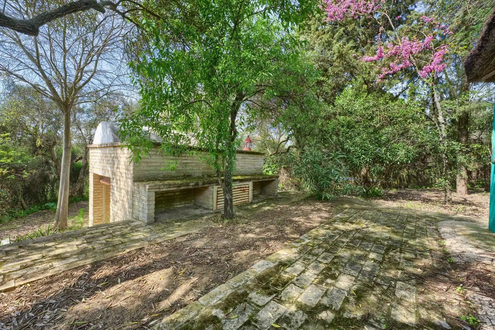 Jardí de Casa o xalet en venda en Sanlúcar la Mayor amb Aire condicionat, Jardí privat i Terrassa
