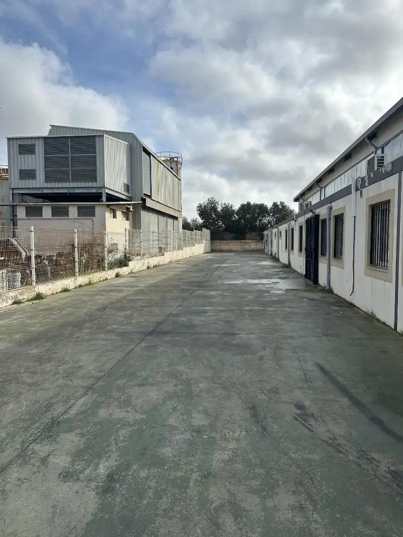 Exterior view of Industrial buildings for sale in Llucmajor