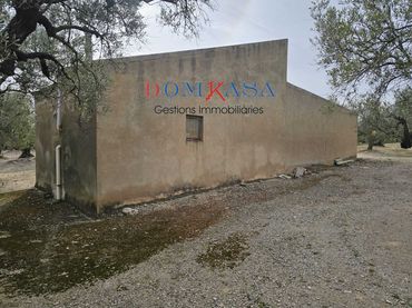 Rustikales Grundstück zum Verkauf in Camarles