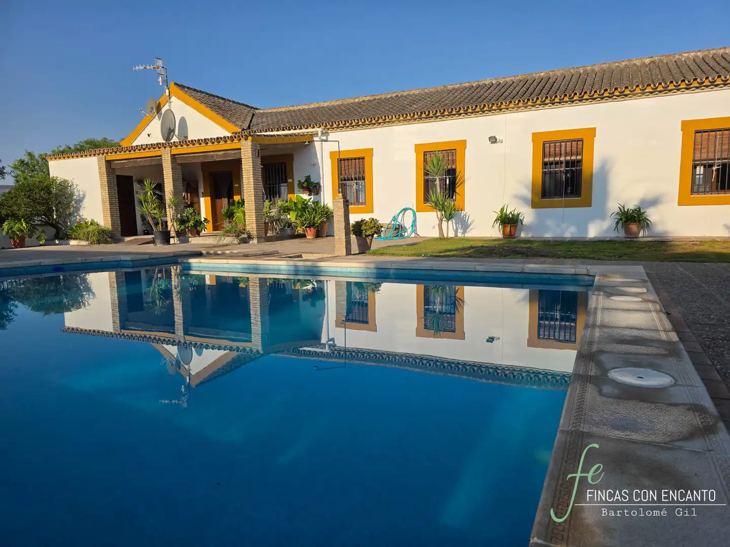 Country house with pool for sale in Morón de la Frontera