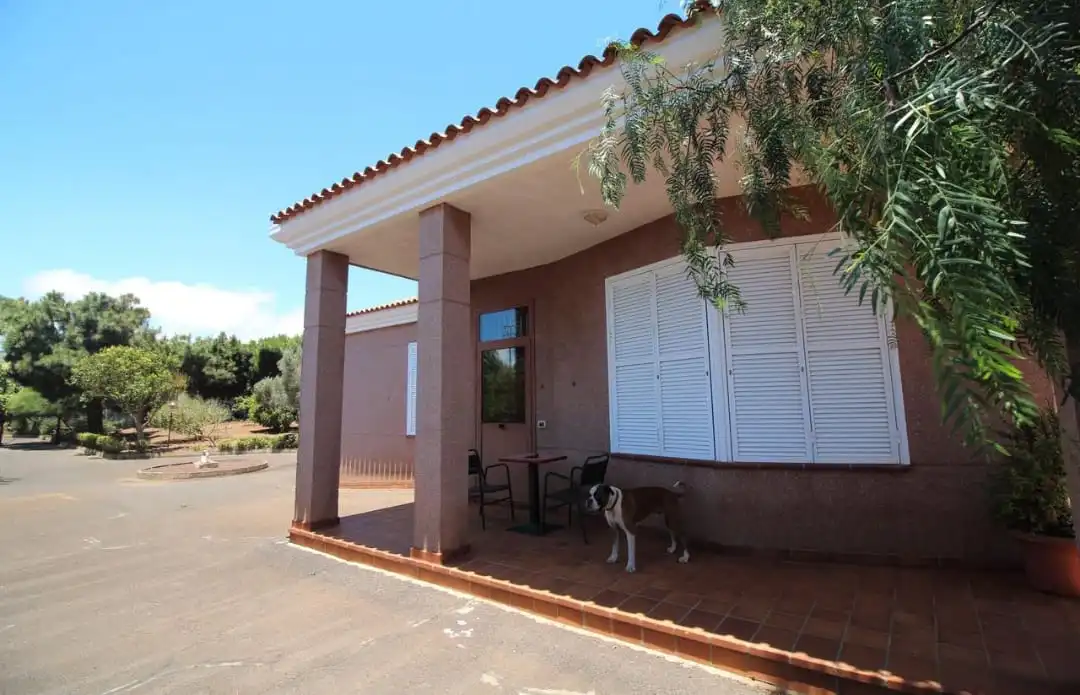 Houses for sale in Calle Domingo González Pérez, 2, Los Baldíos - Geneto - Guajara
