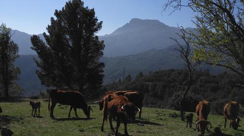 Photo 3 of Premises for sale in Alfara de Carles, Tarragona