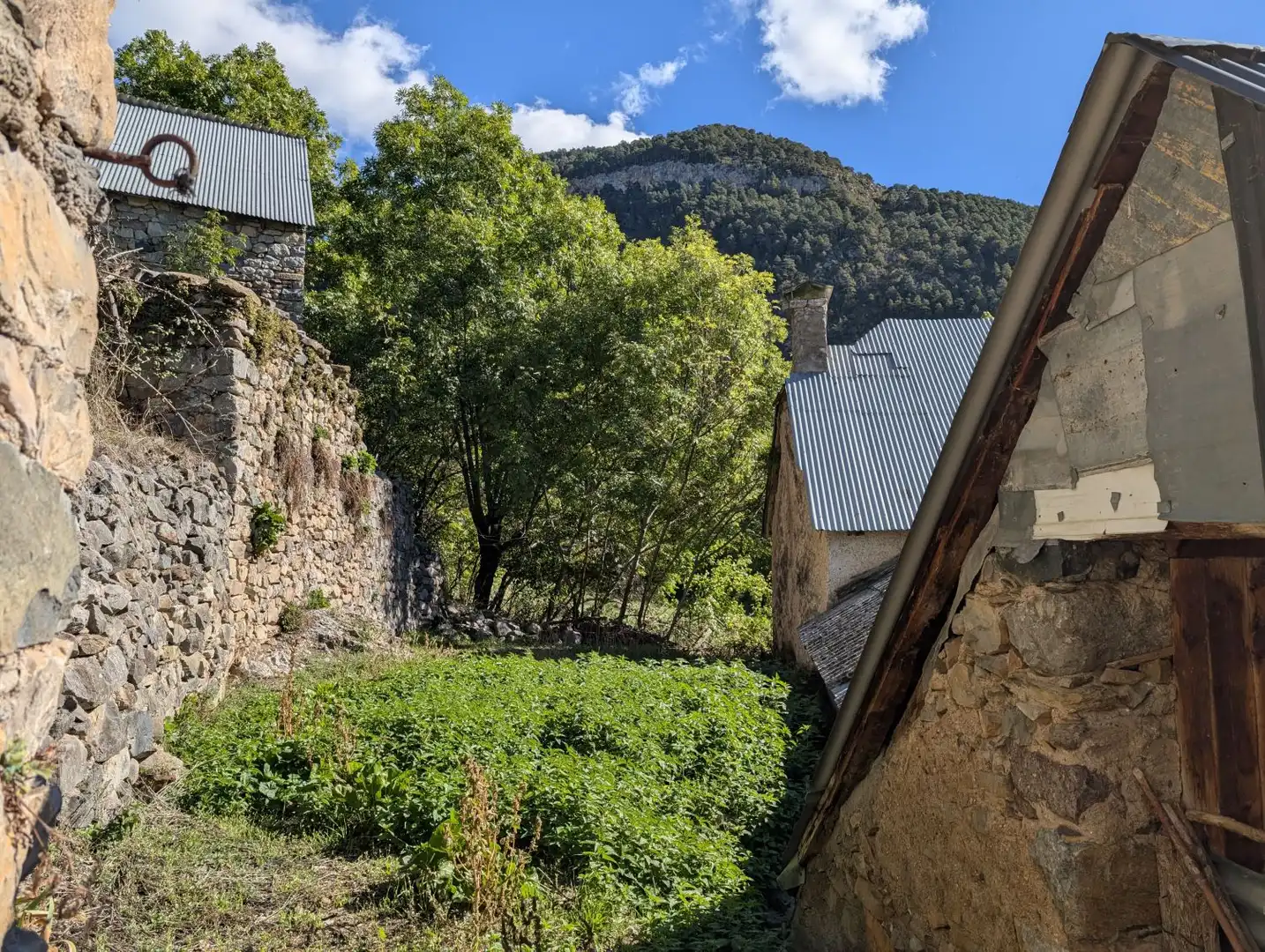 Vista exterior de Casa o chalet en venta en Tella-Sin, Huesca