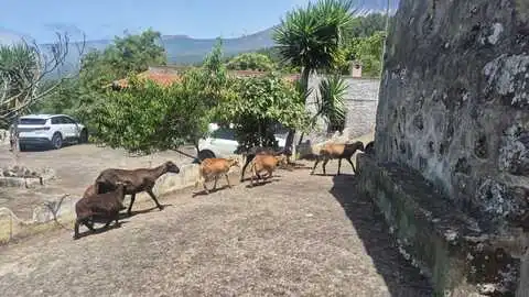 Casa rústica en venda a las abiertas, imagen 33