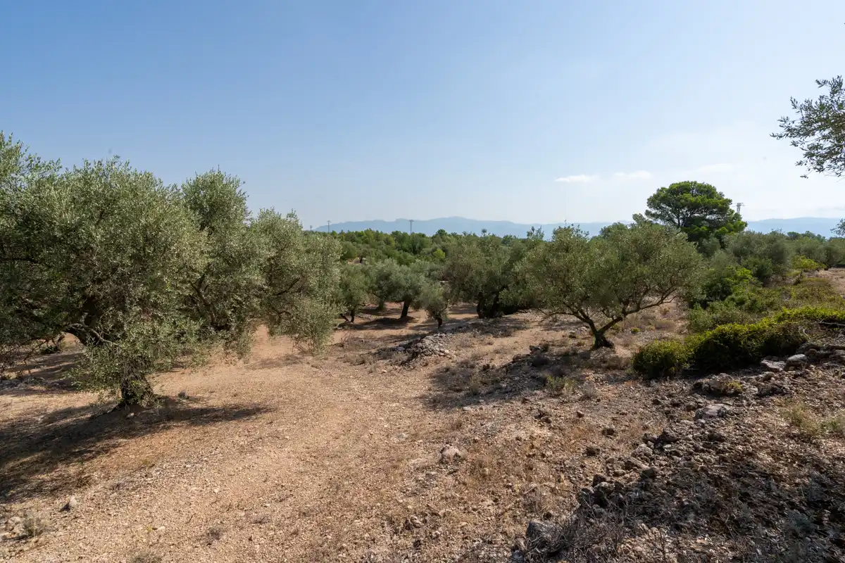 Terrain rustique à vendre à Carrer Barceloneta 15, imagen 14