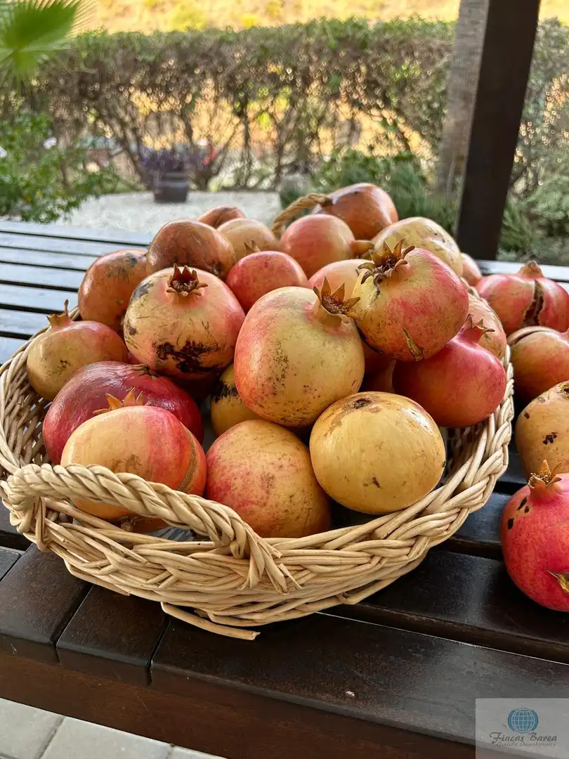 Finca rústica en venta en Diseminado Lomas del Flamenco, Valtocado - La Alquería - La Atalaya