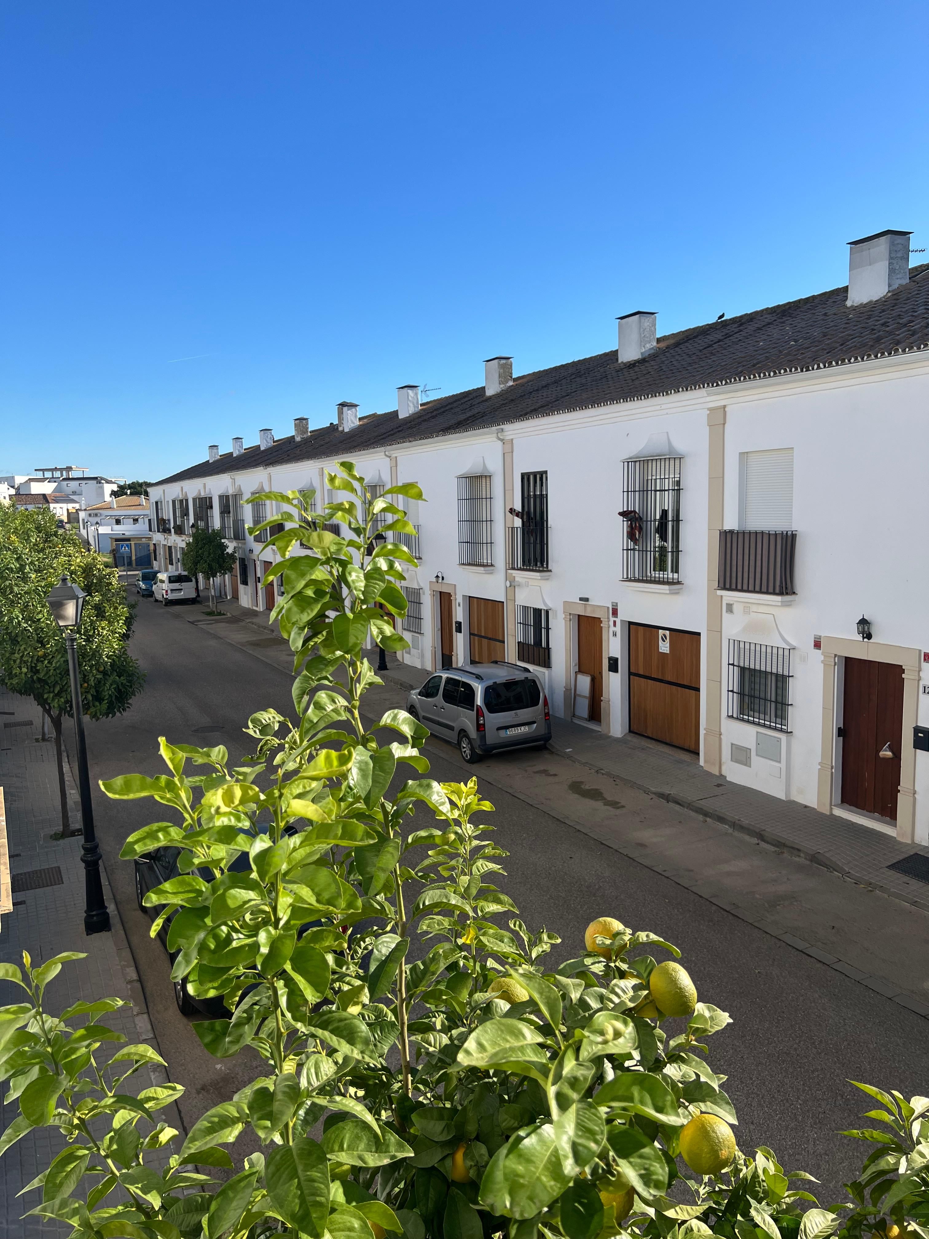 Exterior view of House or chalet for sale in Gerena  with Private garden, Storage room and Swimming Pool