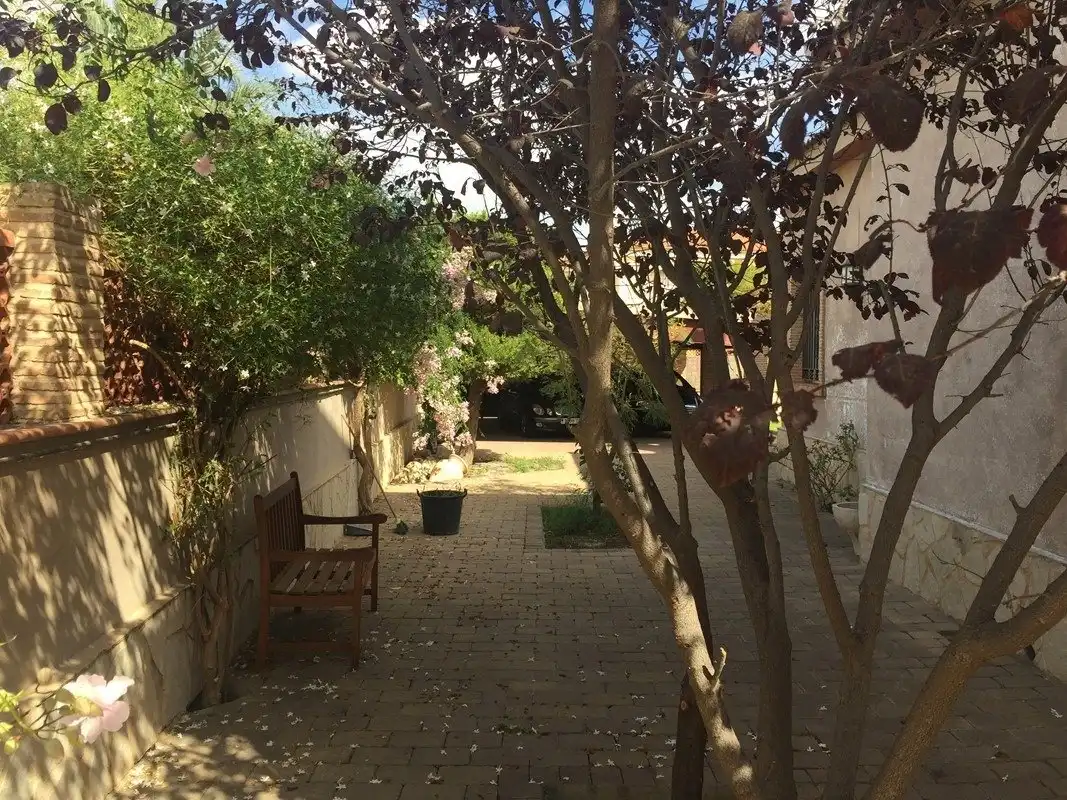 Jardí de Casa o xalet en venda en Elche / Elx amb Jardí privat, Terrassa i Piscina
