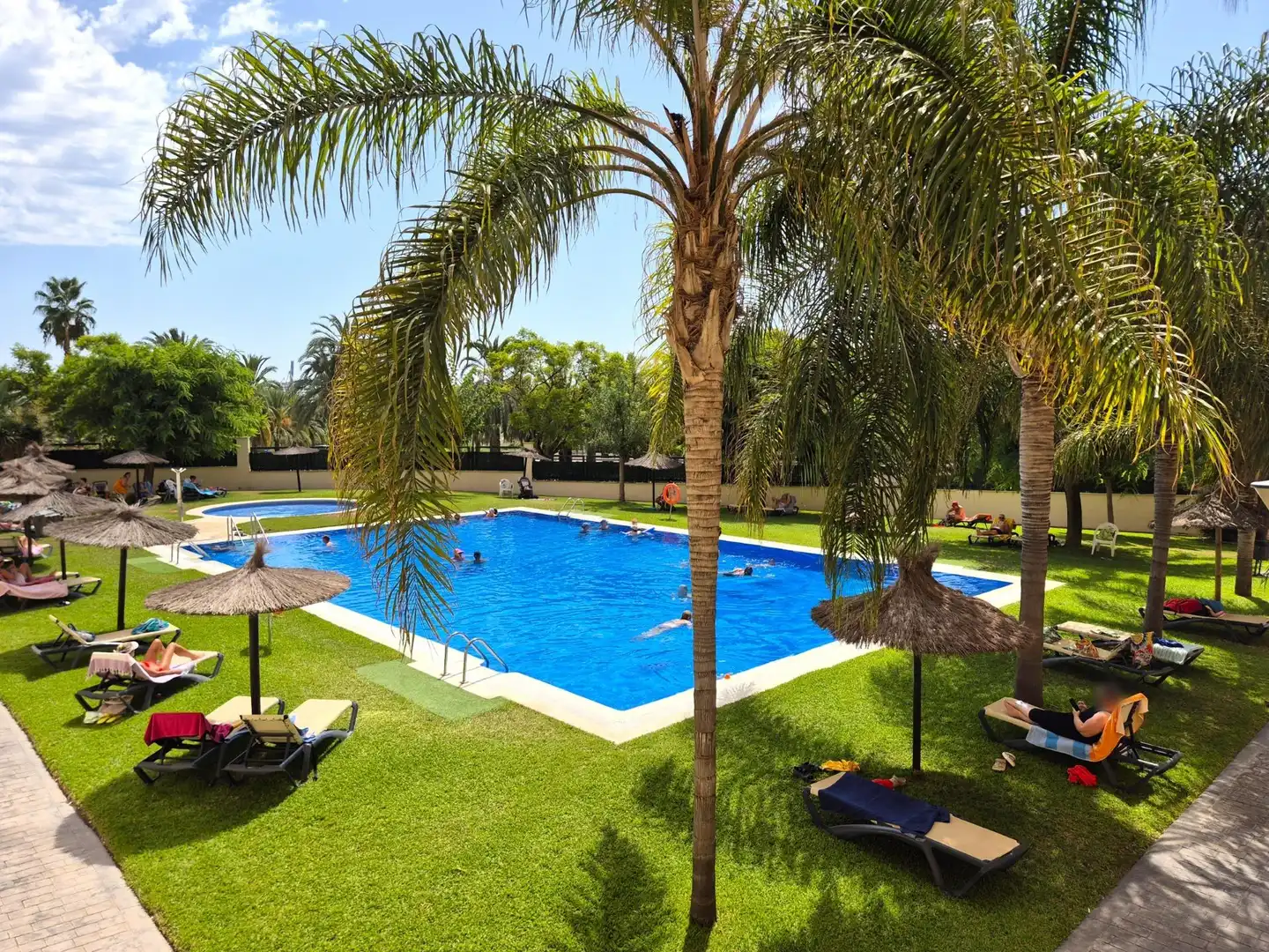 Pis amb piscina en venda a NADADORA CARMEN SOTO