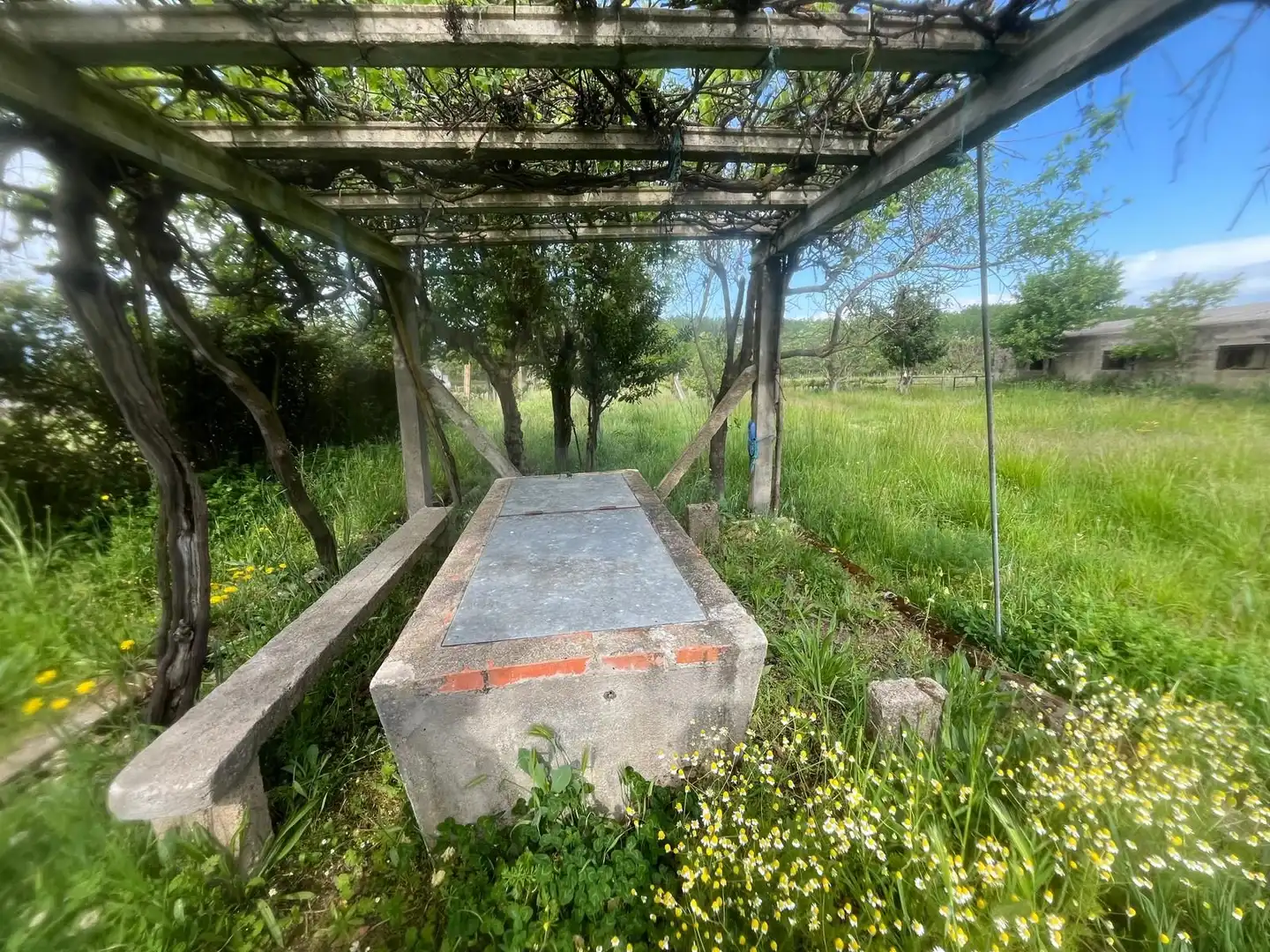 Terreno rustico in vendita a Ciudad Rodrigo, imagen 15
