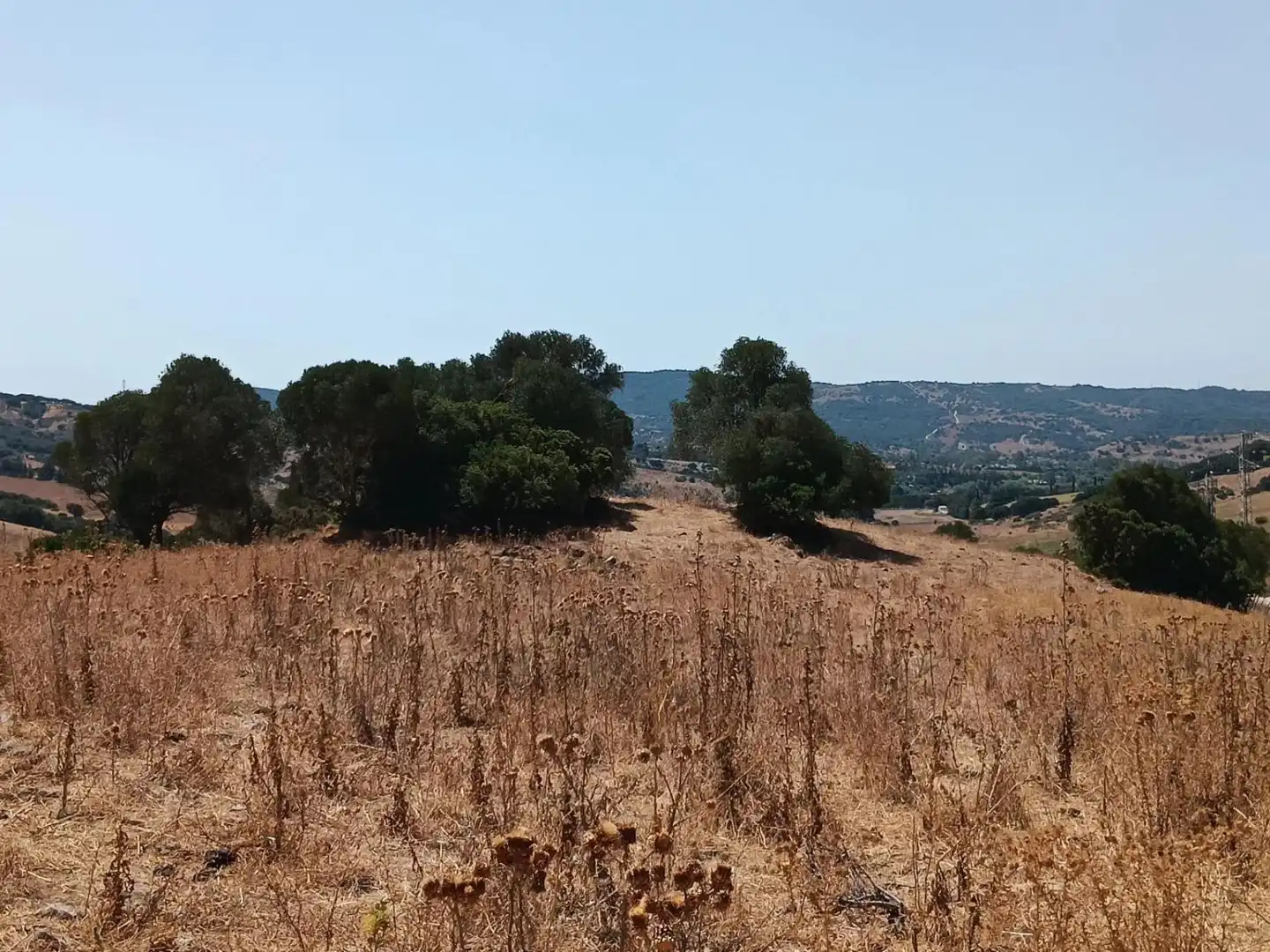 Casa rústica en venta en San Martín del Tesorillo, imagen 19