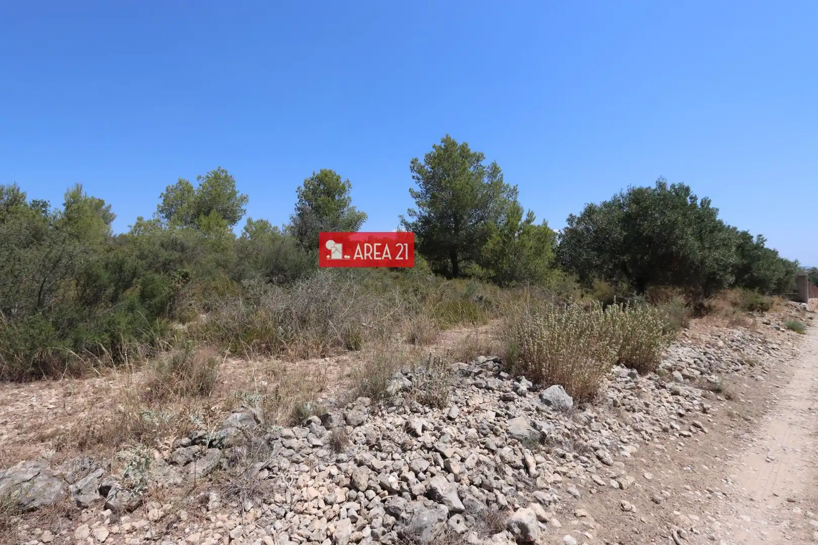 Terreno rústico en venta en Pla dels Aljubs, imagen 9