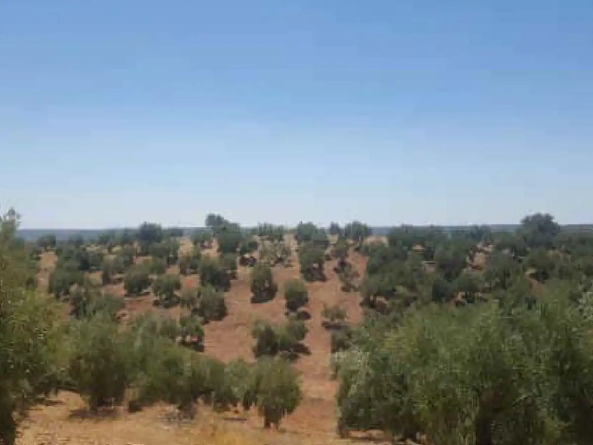 Terreni e lotti in vendita a Siles, imagen 3