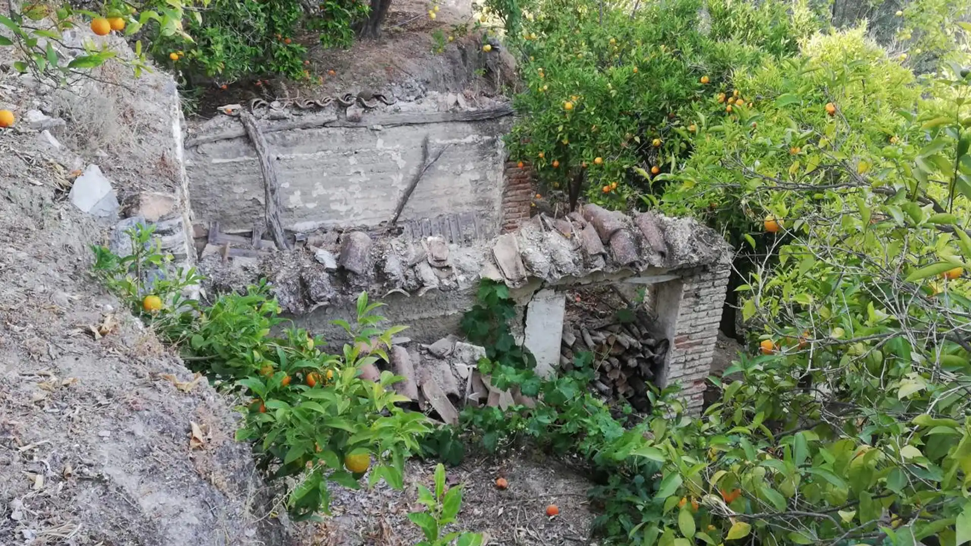 Jardín de Finca rústica en venta en El Pinar