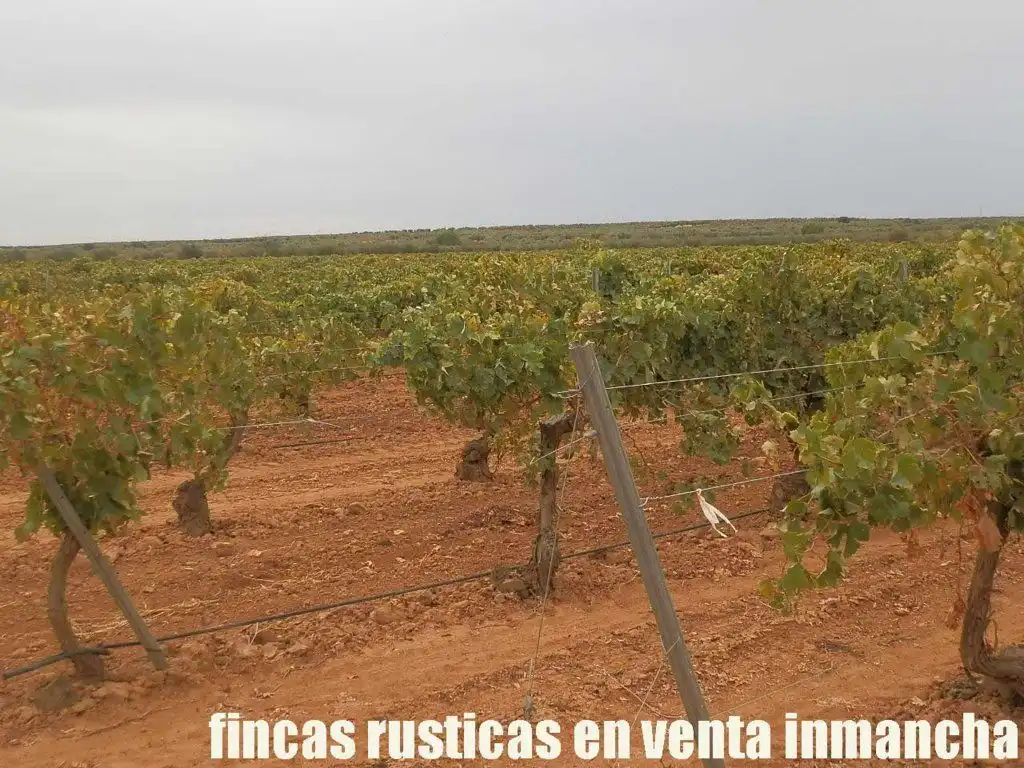 Grundstücke und Bauplätze zum Verkauf in Malagón, imagen 15