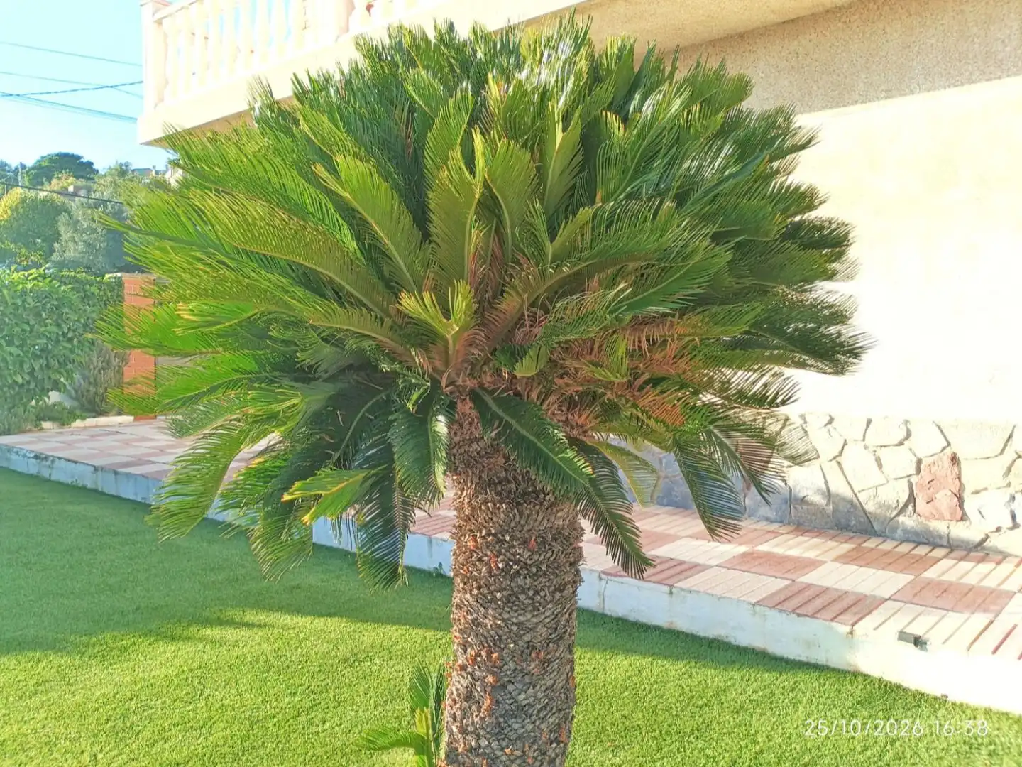Jardín de Casa o chalet en venta en Piera con Terraza y Piscina