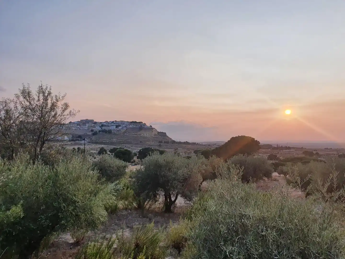Terreno en venta en Chinchilla de Monte-Aragón