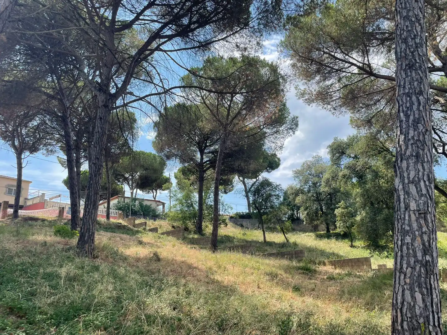 Terreno residencial en venta en Mas Mora - Sant Daniel, imagen 20