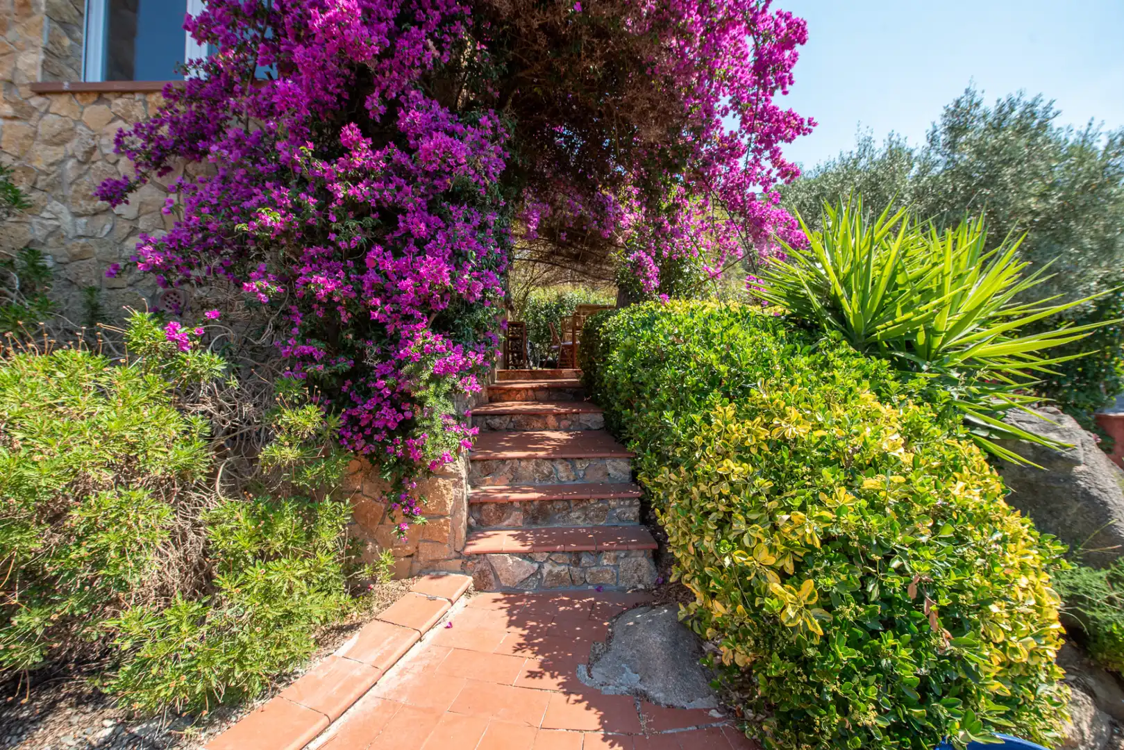 Casa con terraza en venta en Carrer del Dolmen Mas Bousarenys, imagen 9