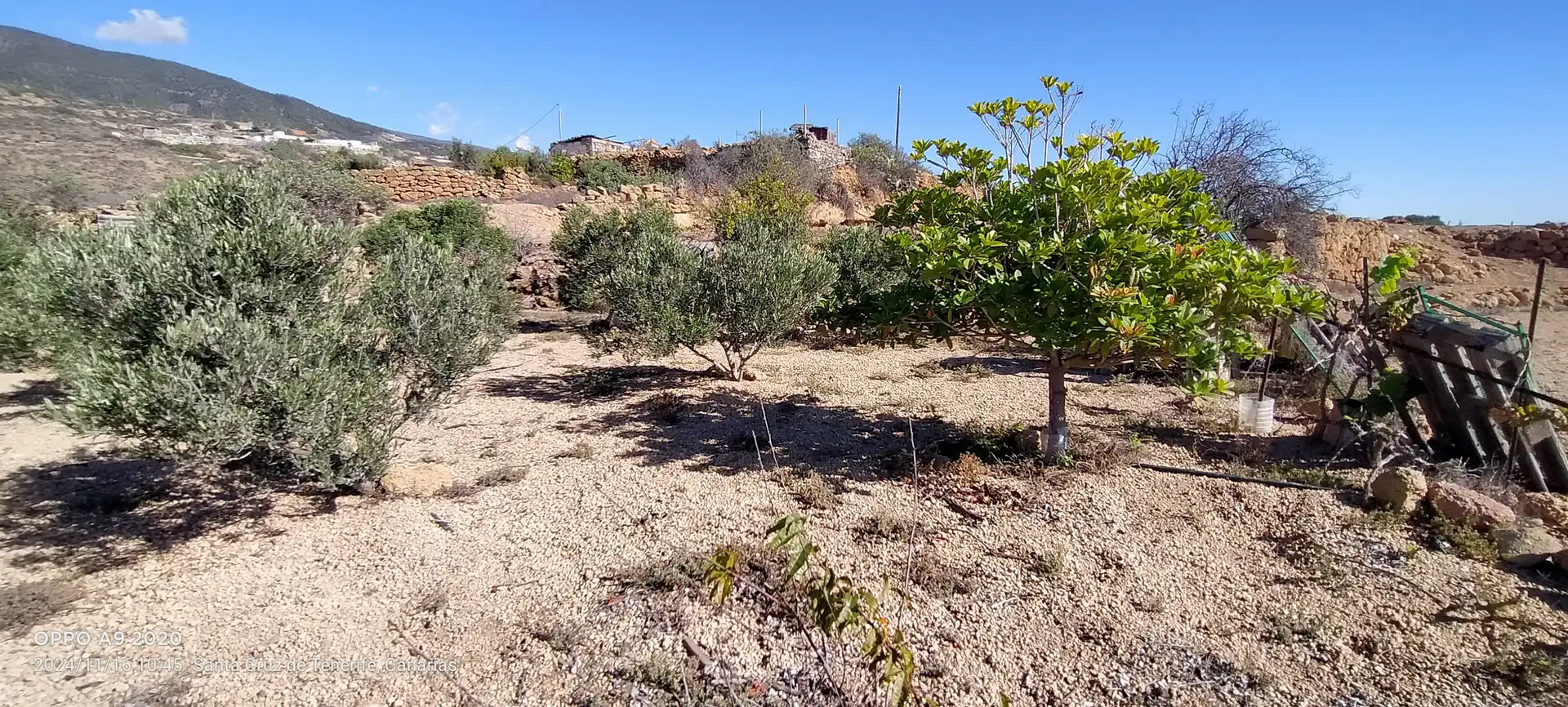 Terreno en venta en Arico