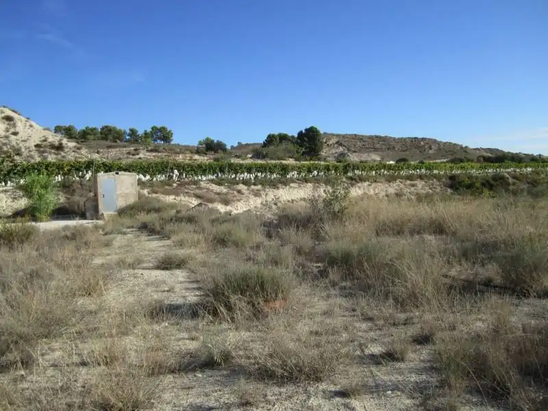 Terreny rústic en venda a La Romana, imagen 3