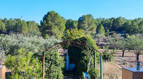 Foto 4 de Finca rústica en venda a Cv-83, 3c, Monóvar  / Monòver, Alicante