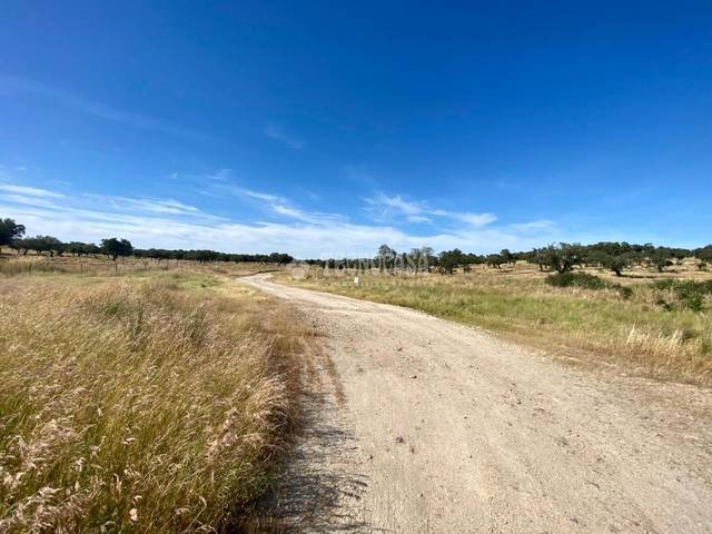 Terreno en Venta en Esparragalejo