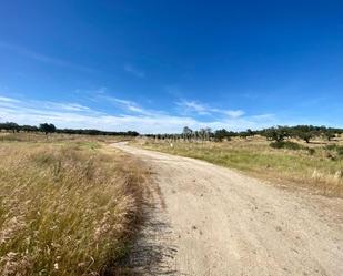 Land for sale in Esparragalejo