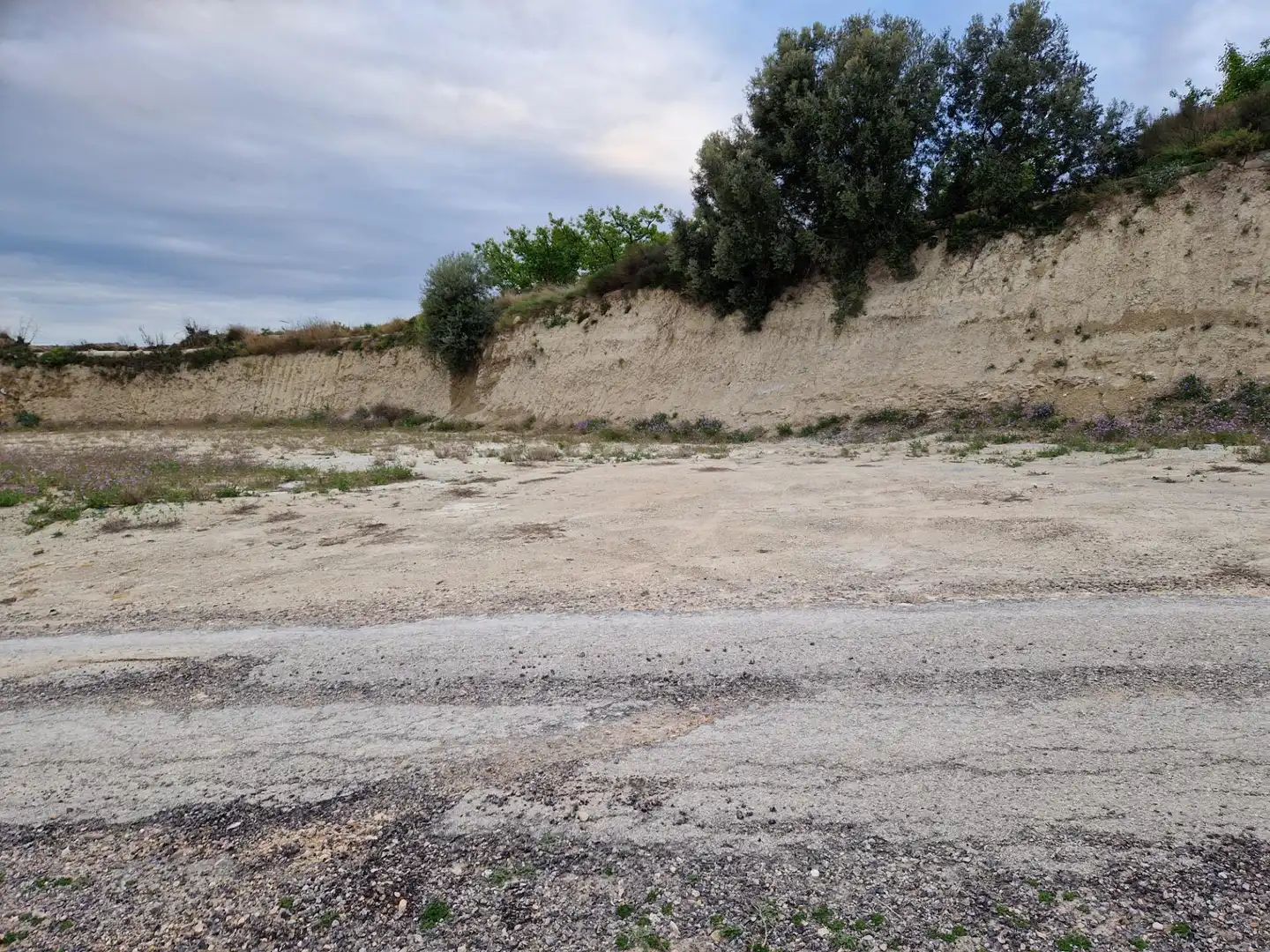 Land for sale in Villanueva del Río Segura