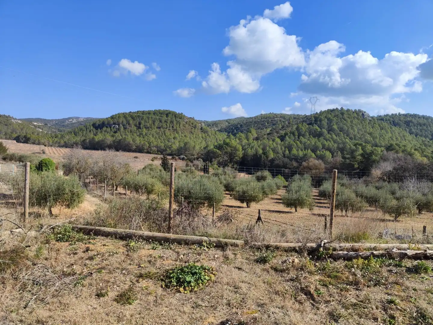Finca rústica en venta en Castellet i la Gornal con Jardín privado