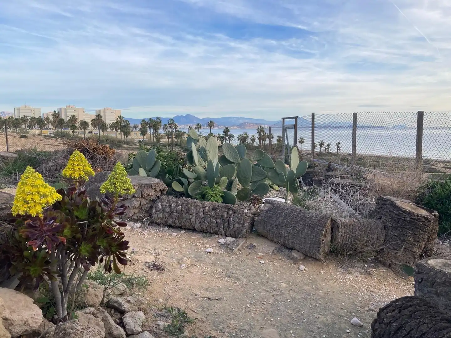Jardí de Casa o xalet en venda en Alicante / Alacant amb Jardí privat i Terrassa