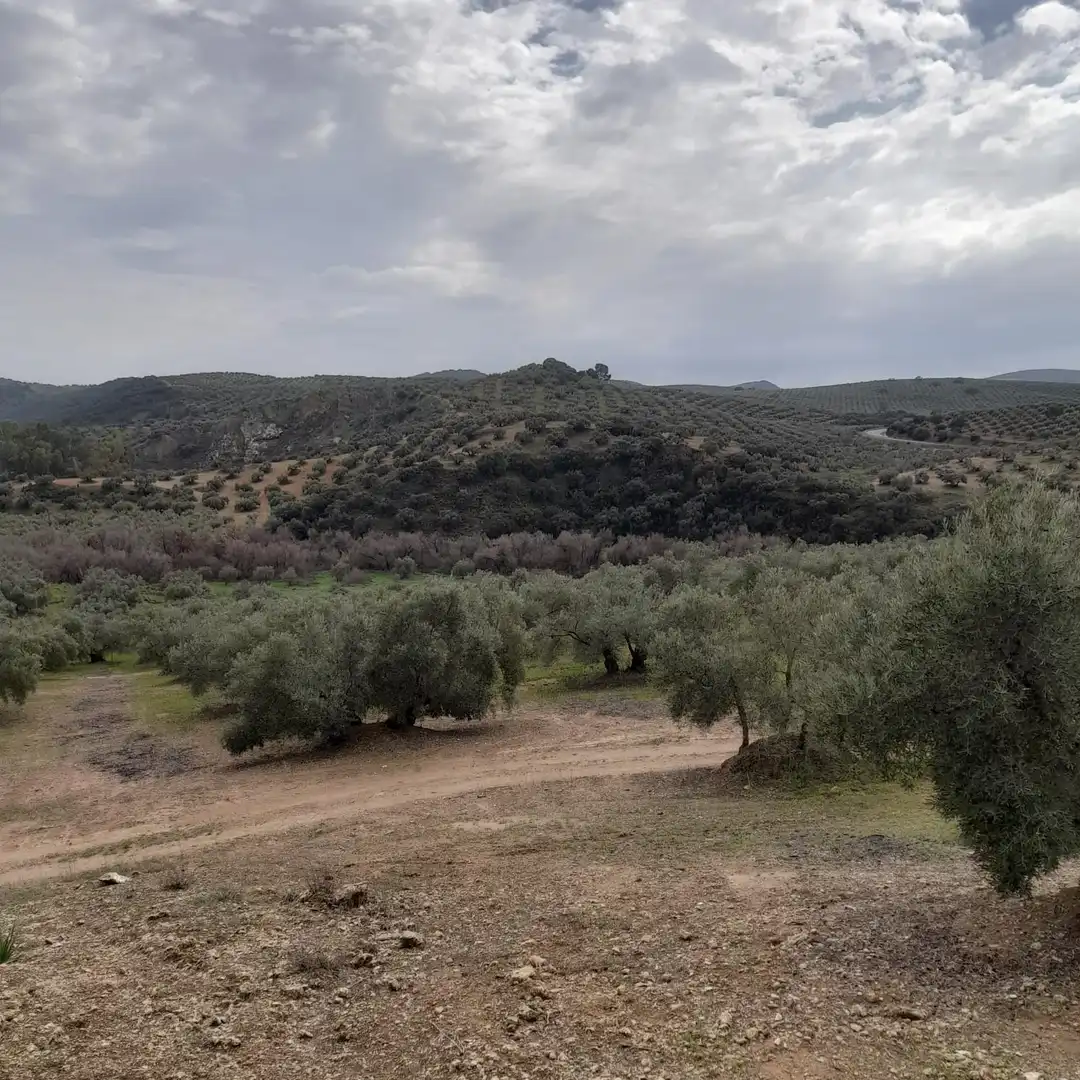 Finca rústica en venda en Encinas Reales